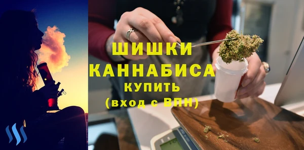 ГАЛЛЮЦИНОГЕННЫЕ ГРИБЫ Семёнов