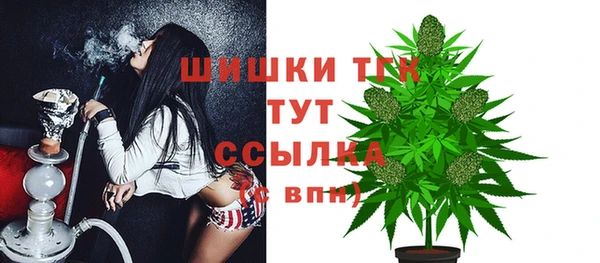 гидропоника Богданович