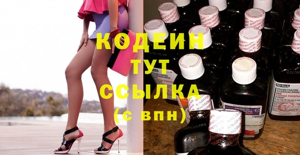 ГАЛЛЮЦИНОГЕННЫЕ ГРИБЫ Семёнов