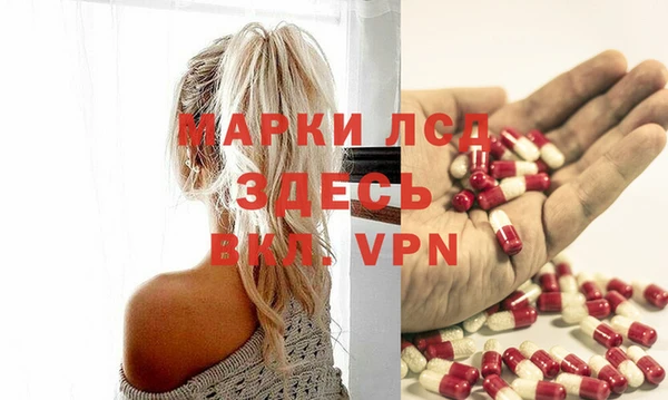PSILOCYBIN Беломорск